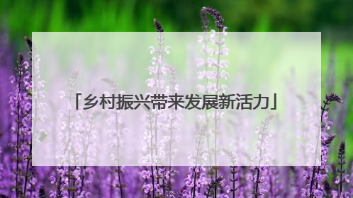 乡村振兴带来发展新活力