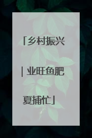 乡村振兴｜业旺鱼肥夏捕忙