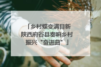 乡村蝶变满目新 陕西府谷县奏响乡村振兴“奋进曲”