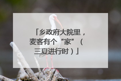 乡政府大院里，麦客有个“家”（三夏进行时）
