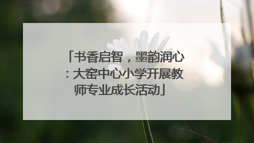 书香启智，墨韵润心：大窑中心小学开展教师专业成长活动