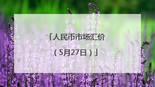 人民币市场汇价（5月27日）
