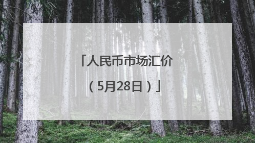 人民币市场汇价（5月28日）