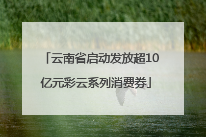 云南省启动发放超10亿元彩云系列消费券