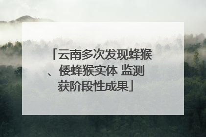 云南多次发现蜂猴、倭蜂猴实体 监测获阶段性成果