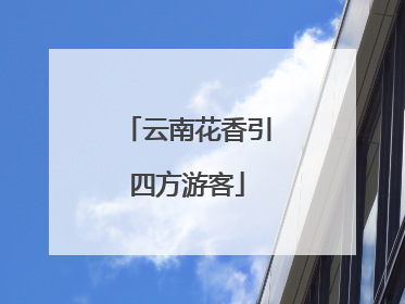 云南花香引四方游客