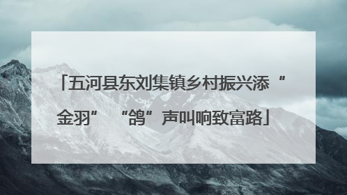 五河县东刘集镇乡村振兴添“金羽” “鸽”声叫响致富路