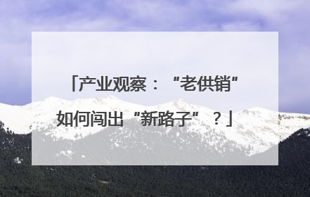 产业观察：“老供销”如何闯出“新路子”？