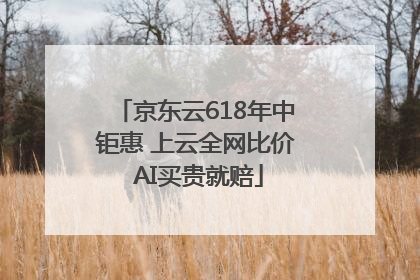 京东云618年中钜惠 上云全网比价 AI买贵就赔