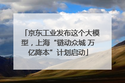 京东工业发布这个大模型，上海“链动众城 万亿降本”计划启动