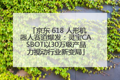 京东 618 人形机器人赛道爆发：灵宝CASBOT以30万级产品力搅动行业新变局