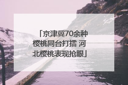 京津冀70余种樱桃同台打擂 河北樱桃表现抢眼