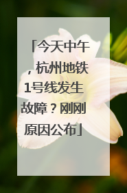 今天中午，杭州地铁1号线发生故障？刚刚原因公布