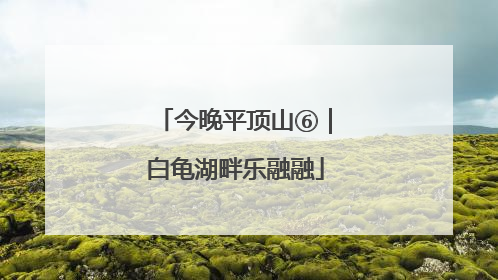 今晚平顶山⑥｜白龟湖畔乐融融