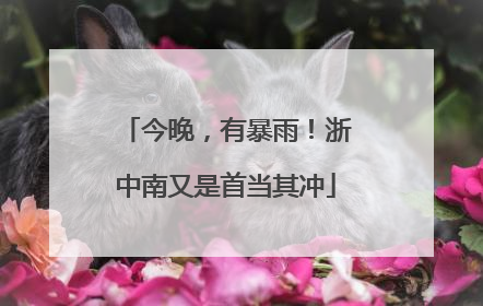 今晚，有暴雨！浙中南又是首当其冲