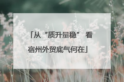 从“质升量稳” 看宿州外贸底气何在