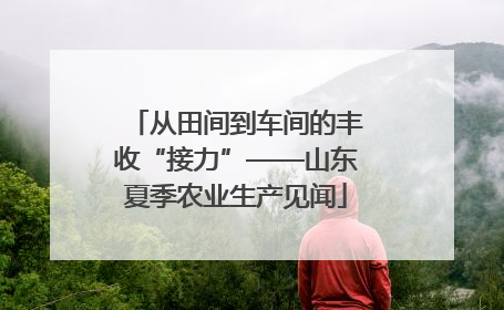 从田间到车间的丰收“接力”——山东夏季农业生产见闻