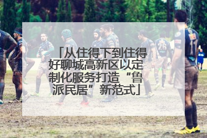 从住得下到住得好聊城高新区以定制化服务打造“鲁派民居”新范式