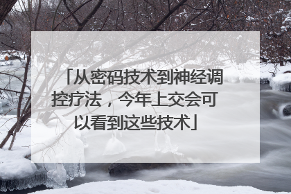 从密码技术到神经调控疗法,今年上交会可以看到这些技术