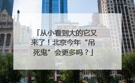 从小看到大的它又来了！北京今年“吊死鬼”会更多吗？