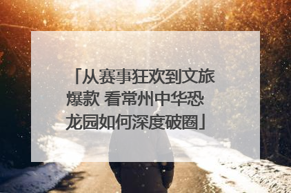 从赛事狂欢到文旅爆款 看常州中华恐龙园如何深度破圈