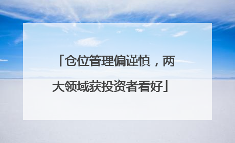 仓位管理偏谨慎，两大领域获投资者看好