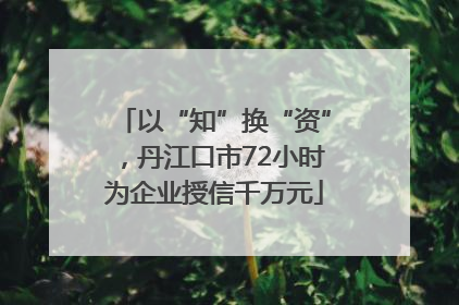 以“知”换“资”，丹江口市72小时为企业授信千万元