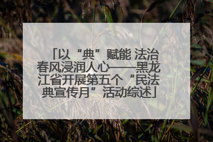 以“典”赋能 法治春风浸润人心——黑龙江省开展第五个“民法典宣传月”活动综述