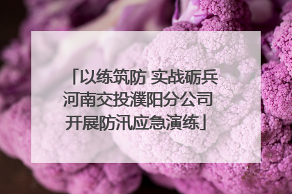 以练筑防 实战砺兵 河南交投濮阳分公司开展防汛应急演练