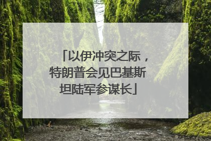 以伊冲突之际，特朗普会见巴基斯坦陆军参谋长