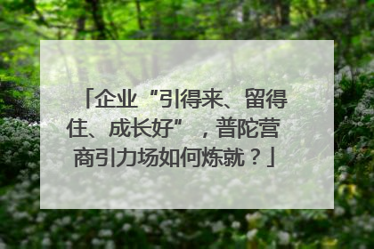 企业“引得来、留得住、成长好”，普陀营商引力场如何炼就？