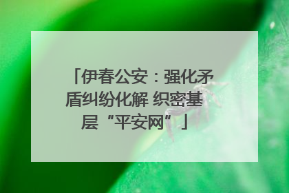 伊春公安：强化矛盾纠纷化解 织密基层“平安网”