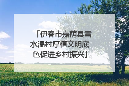 伊春市嘉荫县雪水温村厚植文明底色促进乡村振兴