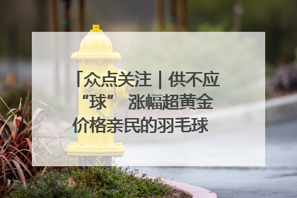 众点关注｜供不应“球” 涨幅超黄金 价格亲民的羽毛球为何身价飞涨？