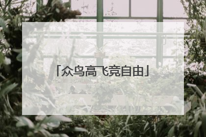 众鸟高飞竞自由