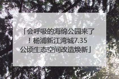会呼吸的海绵公园来了！杨浦新江湾城7.35公顷生态空间改造焕新
