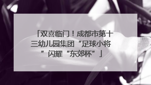 双喜临门！成都市第十三幼儿园集团“足球小将”闪耀“东郊杯”