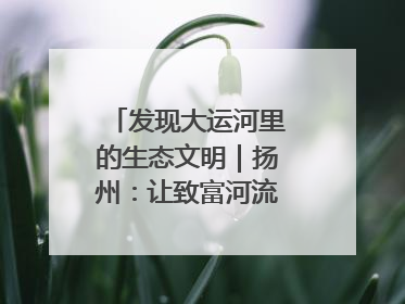 发现大运河里的生态文明｜扬州：让致富河流淌出好生态