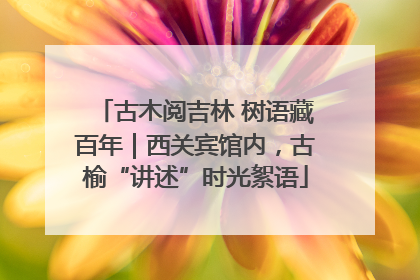 古木阅吉林 树语藏百年｜西关宾馆内，古榆“讲述”时光絮语