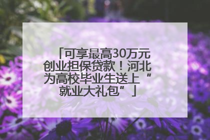 可享最高30万元创业担保贷款！河北为高校毕业生送上“就业大礼包”