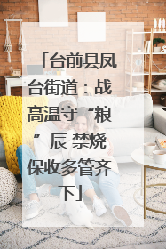 台前县凤台街道：战高温守“粮”辰 禁烧保收多管齐下