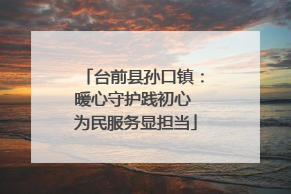 台前县孙口镇：暖心守护践初心 为民服务显担当