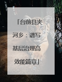 台前县夹河乡：谱写基层治理高效能篇章