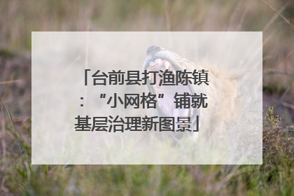 台前县打渔陈镇：“小网格”铺就基层治理新图景