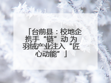 台前县：校地企携手“链”动 为羽绒产业注入“匠心动能”