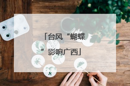 台风“蝴蝶”影响广西