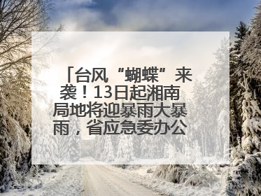 台风“蝴蝶”来袭！13日起湘南局地将迎暴雨大暴雨，省应急委办公室发布汛情提醒
