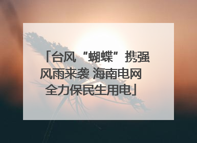 台风“蝴蝶”携强风雨来袭 海南电网全力保民生用电