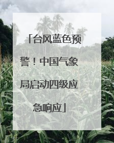 台风蓝色预警！中国气象局启动四级应急响应