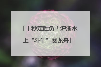 十秒定胜负！沪浙水上“斗牛”赛龙舟